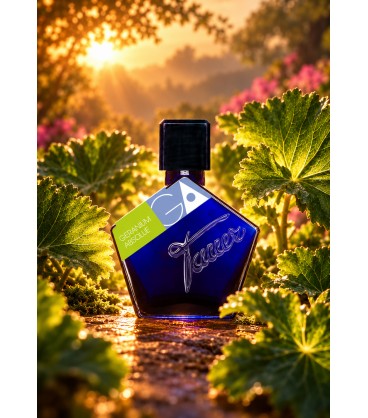 Geranium Absolue