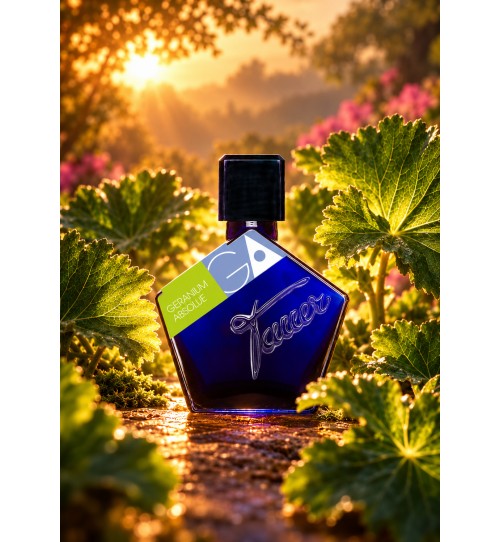 Geranium Absolue